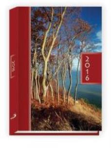 Okładka książki Terminarz 2016 - A5 Kolorowy - drzewa