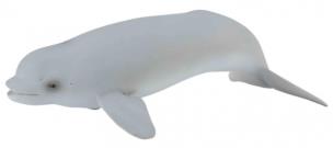 Okładka książki Wieloryb beluga młode