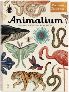 Animalium. Autor: Broom Jenny. Multiszop.pl Okładka książki Animalium