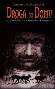 Okładka książki Droga do domu