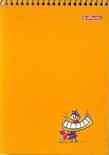 Opakowanie Kołonotatnik A6 w kratkę 40 kartek