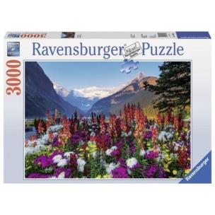 Opakowanie Puzzle 3000 Kwieciste góry
