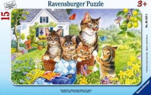 Opakowanie Puzzle ramkowe 15 Kocięta