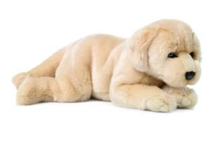 Opakowanie Retriever leżący 30 cm