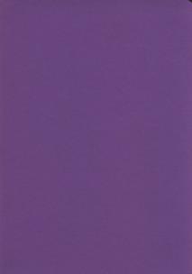 Opakowanie Zeszyt A5 Rainbow w kratkę 60 kartek fioletowy