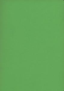 Opakowanie Zeszyt A5 Rainbow w kratkę 60 kartek jasnozielony