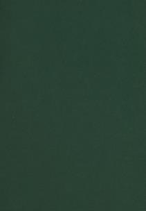 Opakowanie Zeszyt A5 Rainbow w kratkę 96 kartek ciemnozielony