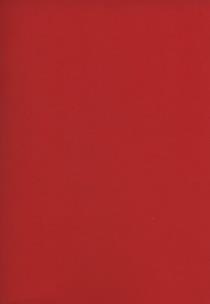 Opakowanie Zeszyt A5 Rainbow w kratkę 96 kartek czerwony