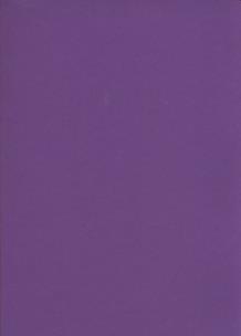 Opakowanie Zeszyt A5 Rainbow w kratkę 96 kartek fioletowy