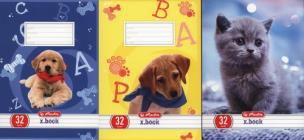 Opakowanie Zeszyt A5 x.book w linie 32 kartki 10 sztuk mix