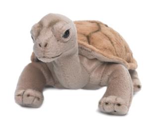 Opakowanie Żółw lądowy 20 cm