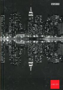 Opakowanie Brulion A5 Top-2000 w kratkę 96 kartek New York