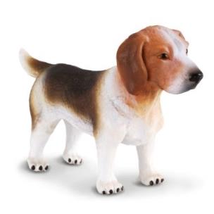 Opakowanie Collecta Pies rasy Beagle