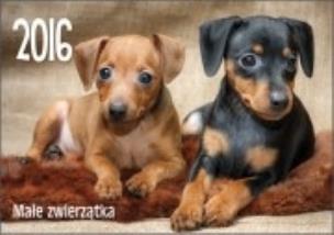 Okładka książki KAL.MALE ZWIERZATKA 2016