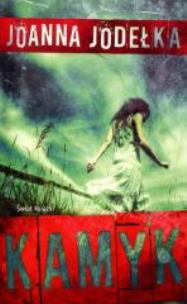 Okładka książki Kamyk TW w.2015