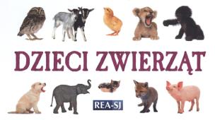 Okładka książki Rozkładanka - Dzieci zwierząt REA