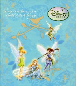 Opakowanie Segregator B6 Wróżki mix 2 wzory