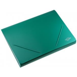 Opakowanie Teczka A4 z 12 przegrodami zielona
