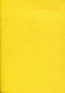 Opakowanie Zeszyt A5 Rainbow w kratkę 96 kartek żółty