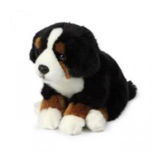 Opakowanie Bernardyn 20 cm ACP