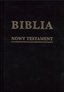 Okładka książki Biblia w zarysie. Nowy Testament płótno