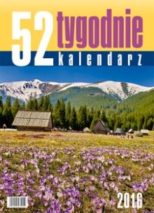 Okładka książki Kalendarz Biurkowy Pionowy Tygodniowy (52T) Górska chata 201
