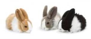 Opakowanie Królik leżący 18 cm ACP