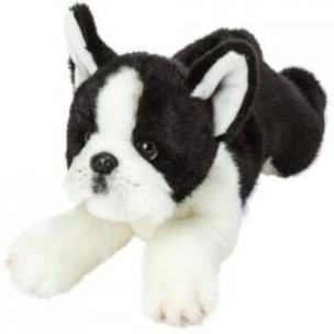 Opakowanie Leżący Boston Terierr 30cm SUKI