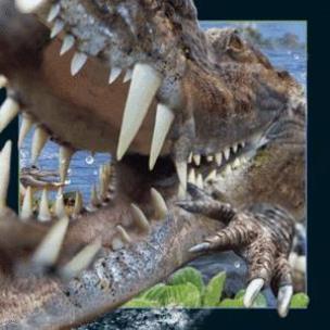 Opakowanie Magnes 3D Krokodyl