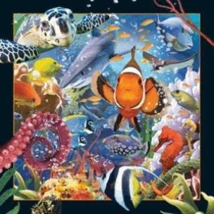 Opakowanie Magnes 3D Ocean