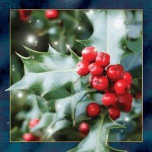 Opakowanie Magnes 3D Ostrokrzew