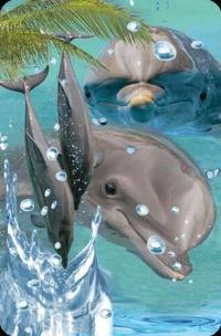 Opakowanie Mini kartka 3D Delfin