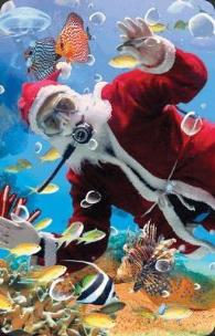 Opakowanie Mini kartka 3D Nurkujący Mikołaj