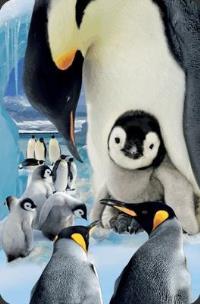 Opakowanie Mini kartka 3D Pingwin