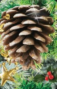 Opakowanie Mini kartka 3D Szyszka