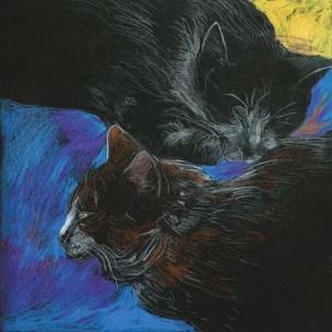 Opakowanie Notes Koty