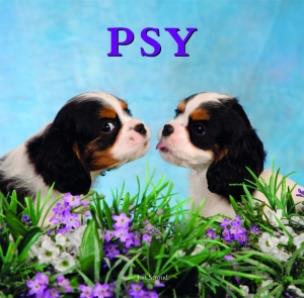 Okładka książki Psy w. 2012 BR