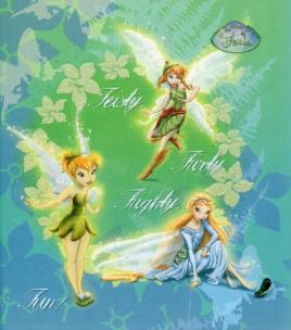 Opakowanie Segregator B6 Wróżki