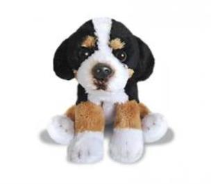 Opakowanie Siedzący Berneński Pies Pasterski 13cm SUKI