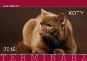 Opakowanie Terminarz 2016 Ścienny 13PL Koty MAT