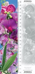 Opakowanie Zakładka 3D Groszek