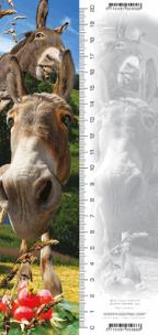 Opakowanie Zakładka 3D Osioł