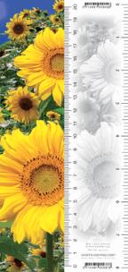 Opakowanie Zakładka 3D Słoneczniki