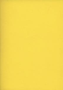 Okładka książki Zeszyt 96 w kratkę A5 Rainbow (półtwardy)