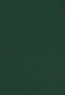 Opakowanie Zeszyt A5 Rainbow w kratkę 60 kartek ciemnozielony