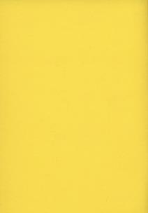 Opakowanie Zeszyt A5 Rainbow w kratkę 60 kartek żółty