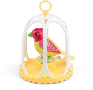 Opakowanie DigiBirds z klatką Costa