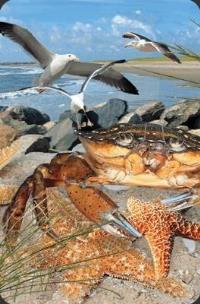 Opakowanie Mini kartka 3D Krab