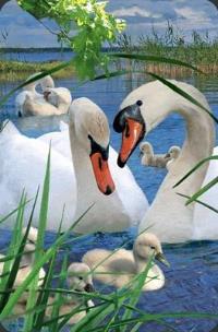 Opakowanie Mini kartka 3D Łabędź