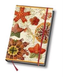 Opakowanie Notes A5 Art book 80 kartek w linie Rozgwiazda